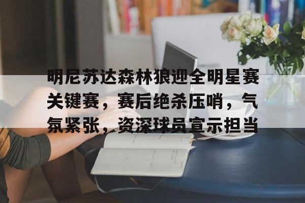 hth体育官网入口-关于明尼苏达森林狼迎全明星赛关键赛，赛后绝杀压哨，气氛紧张，资深球员宣示担当的信息